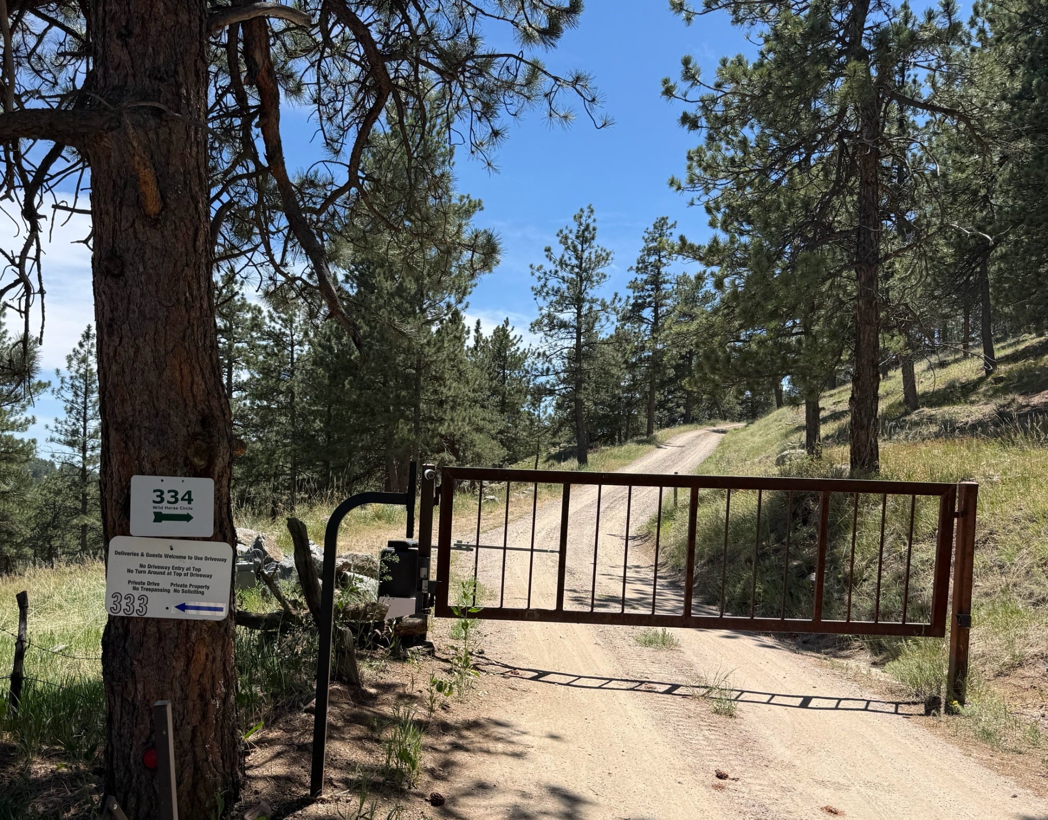 The gate and pine-lined driveway at 334 Wild Horse Circle.